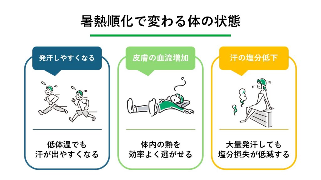 暑さに負けない体をつくる暑熱順化とは?