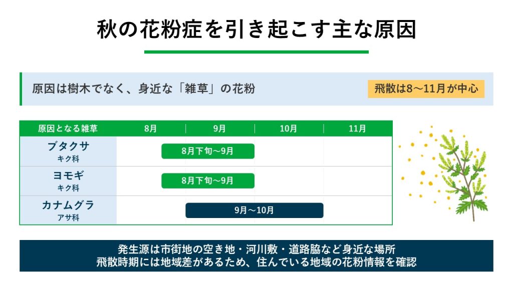 秋の花粉症を引き起こす主な原因