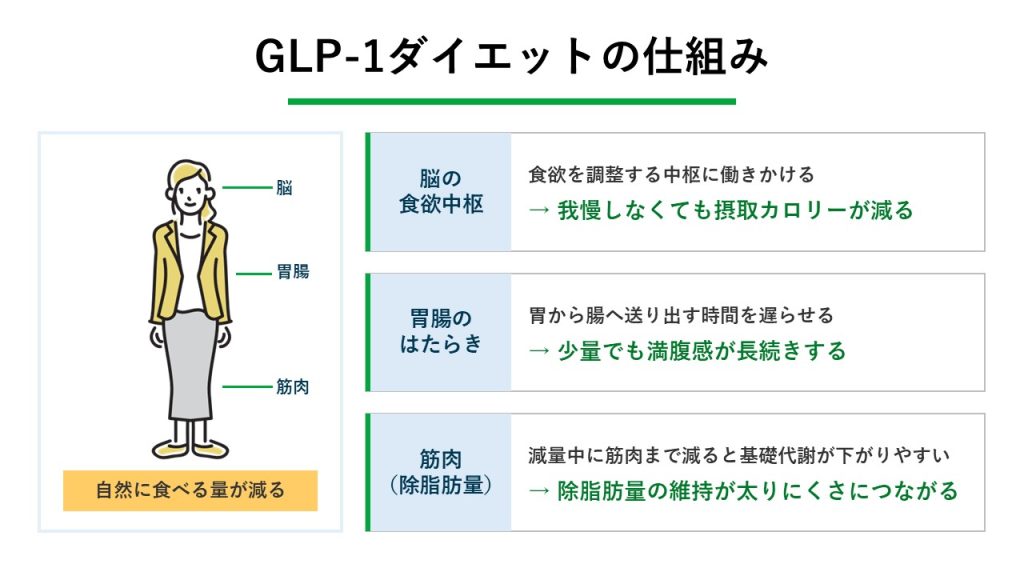 GLP-1ダイエットの仕組み